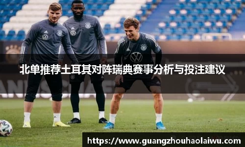 北单推荐土耳其对阵瑞典赛事分析与投注建议