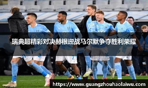 瑞典超精彩对决赫根迎战马尔默争夺胜利荣耀